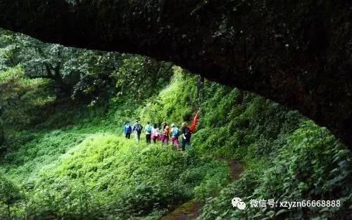 脑洞小老弟无实名认证